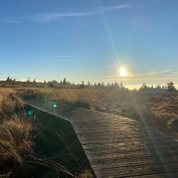 Les Vosges couleurs d’automne: entre crêtes et lacs