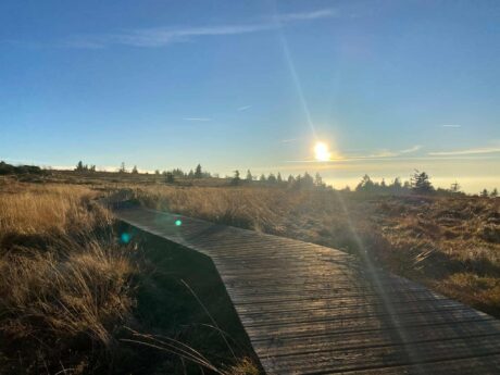 Les Vosges couleurs d’automne: entre crêtes et lacs