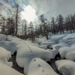 Découverte de la raquette en Tarentaise