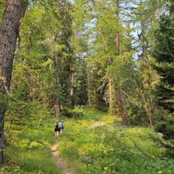 Les plus beaux sentiers de Stoumont en trail