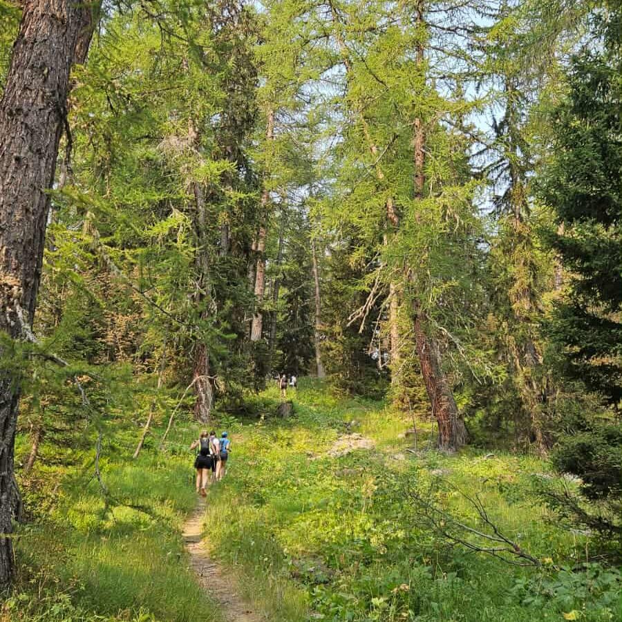 Les plus beaux sentiers de Stoumont en trail