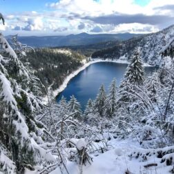 Aventure hivernale dans les Vosges