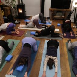 Raquettes & Yoga à Albanne – Image 3
