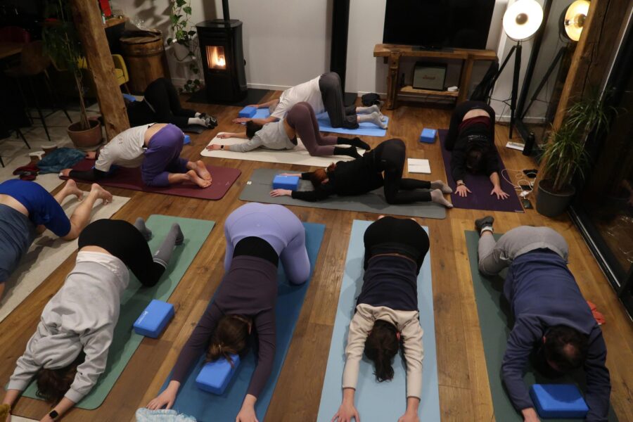 Raquettes & Yoga à Albanne – Image 3